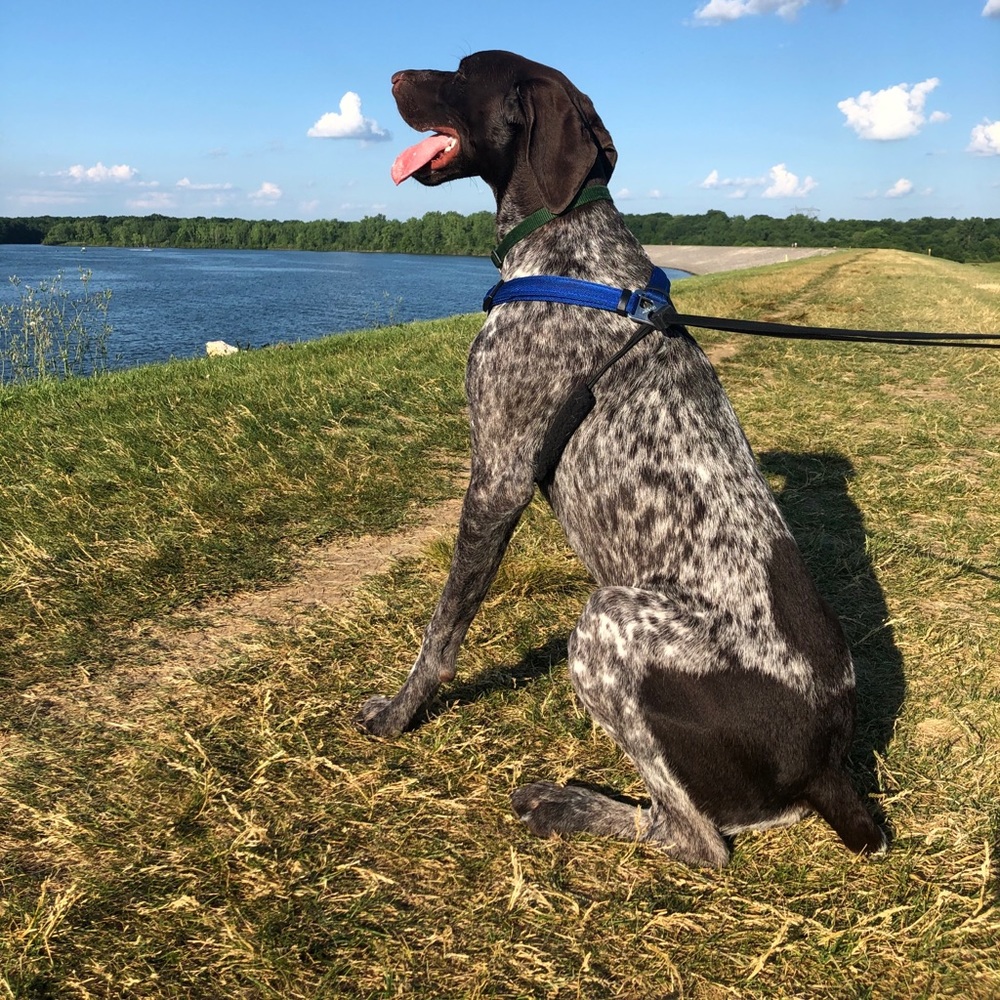 Follow on Instagram @hankgsp